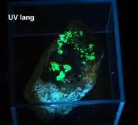 8421 Meta-Autunite UV Meta-Torbernite Margabal France (1) - Kopie