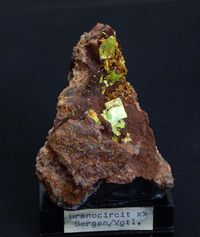 9440 Uranocircite ca 9x7x6 cm Bergen Germany before 1991 (4)