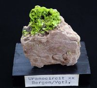9441 Uranocircite ca 5x5x3 cm Bergen Germany before 1991 (1)