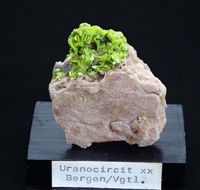 9441 Uranocircite ca 5x5x3 cm Bergen Germany before 1991 (2)