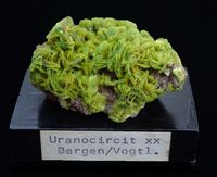 9442 Uranocircite ca 5x4x3 cm Bergen Germany before 1991 (2)